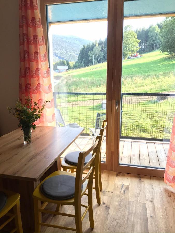 Apartman U Sjezdovky Filipovice Buitenkant foto